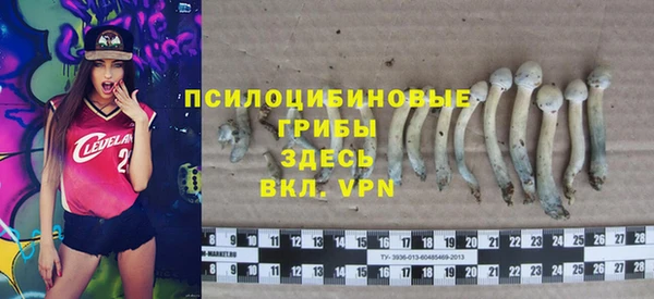 синтетический гашиш Арсеньев