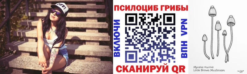 Галлюциногенные грибы Psilocybe  Мурманск 