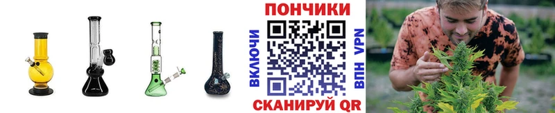 дарнет шоп  Мурманск  Каннабис Amnesia 